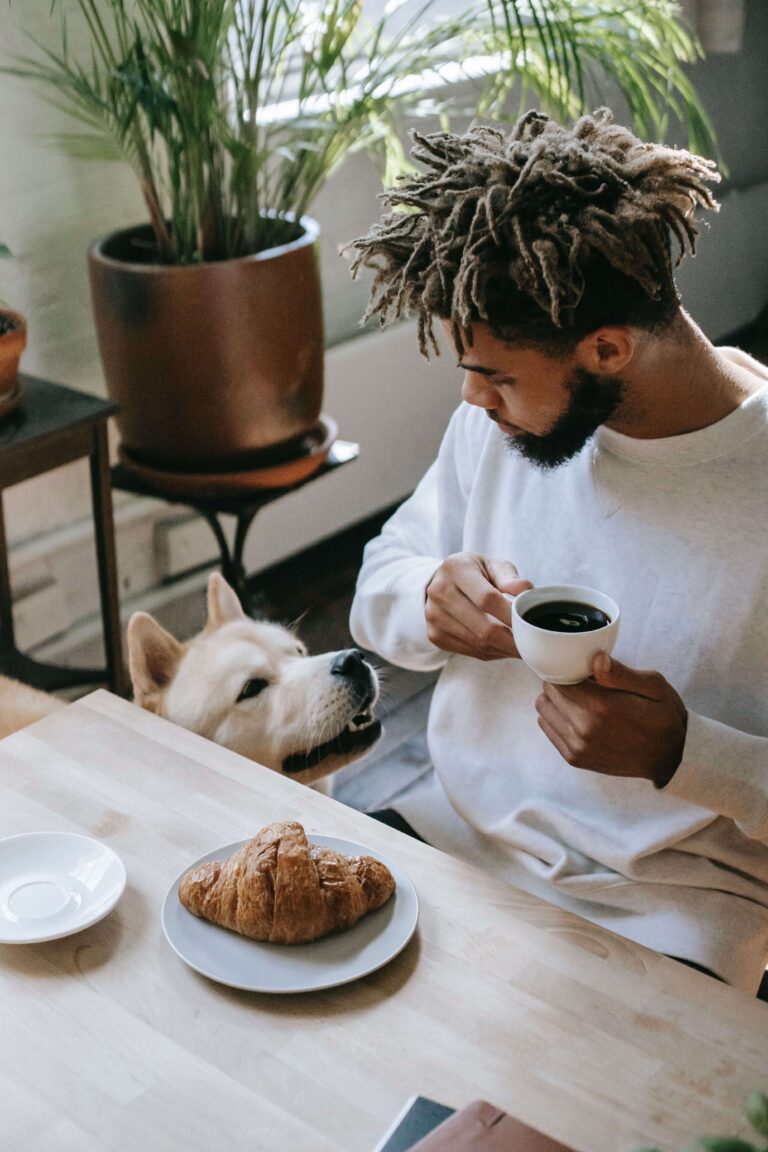 Can dogs drink coffee?  The answer may surprise you!