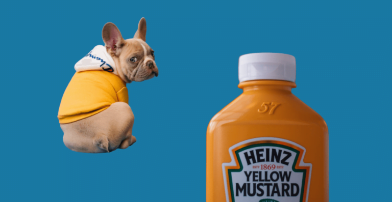 Find out why dogs can’t eat mustard