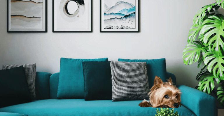 How long does a dogs live? (Average life span data & facts)