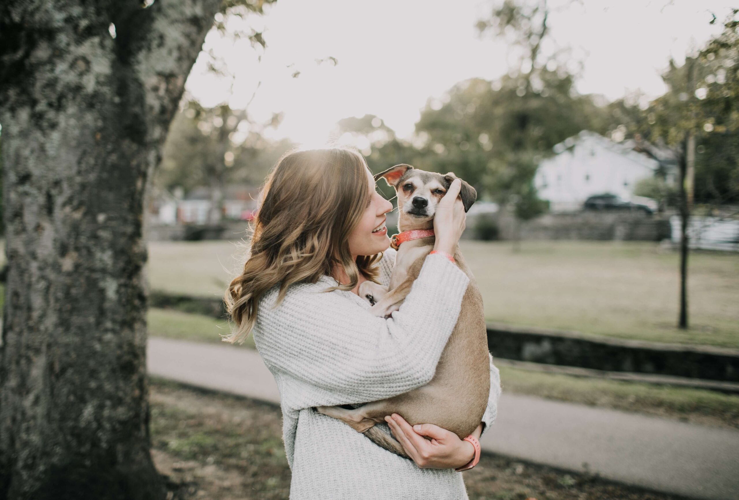 6 way to show love to your dog