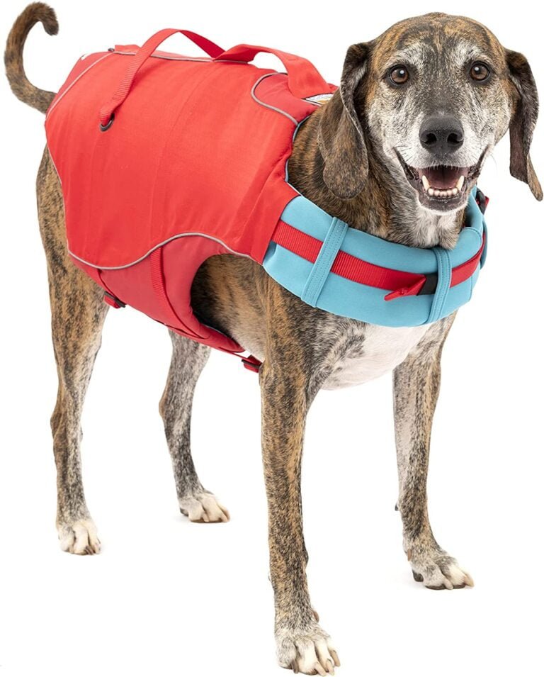 Best Dog Life Jacket | theroverdog.com