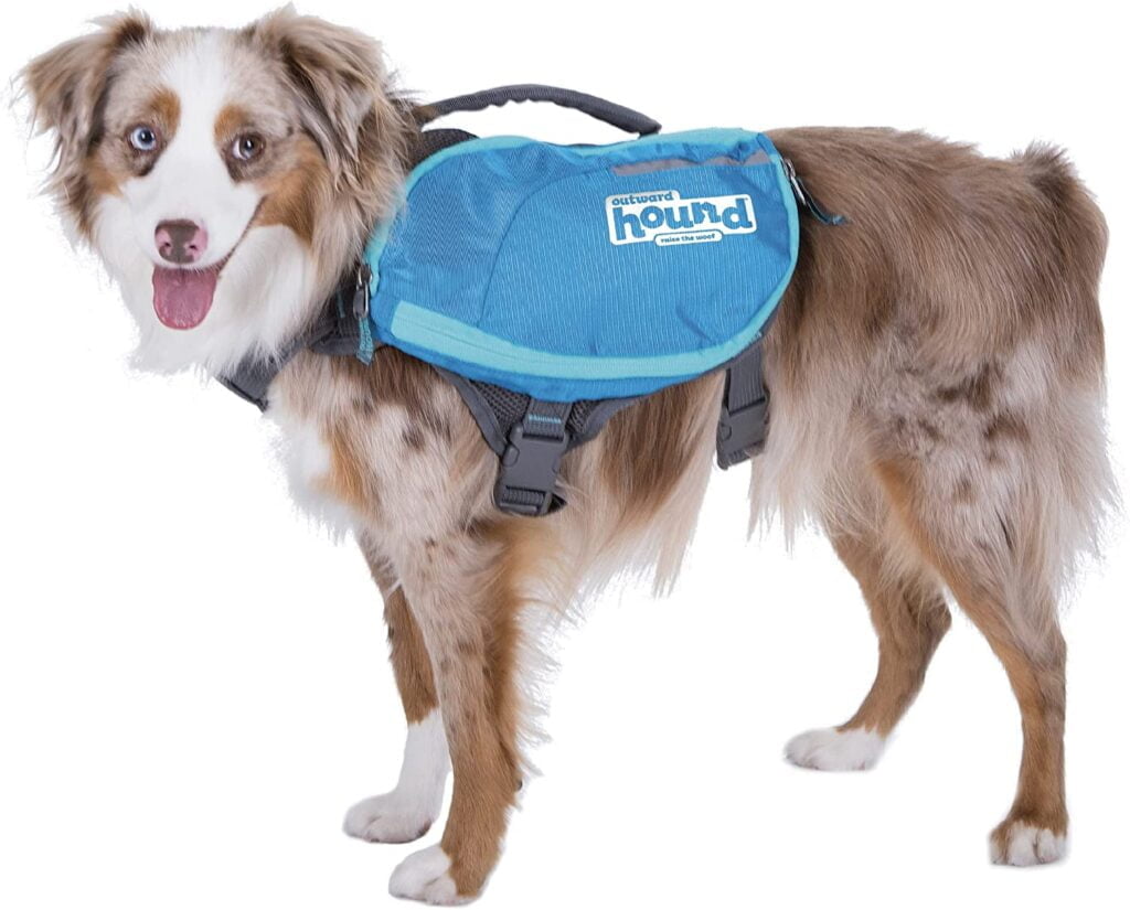 medium vest dog swimming