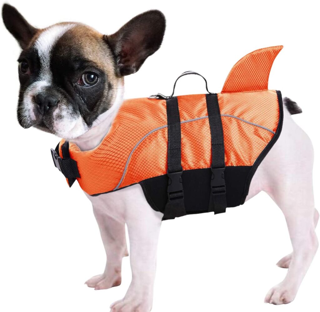 small swmming vest for dog
