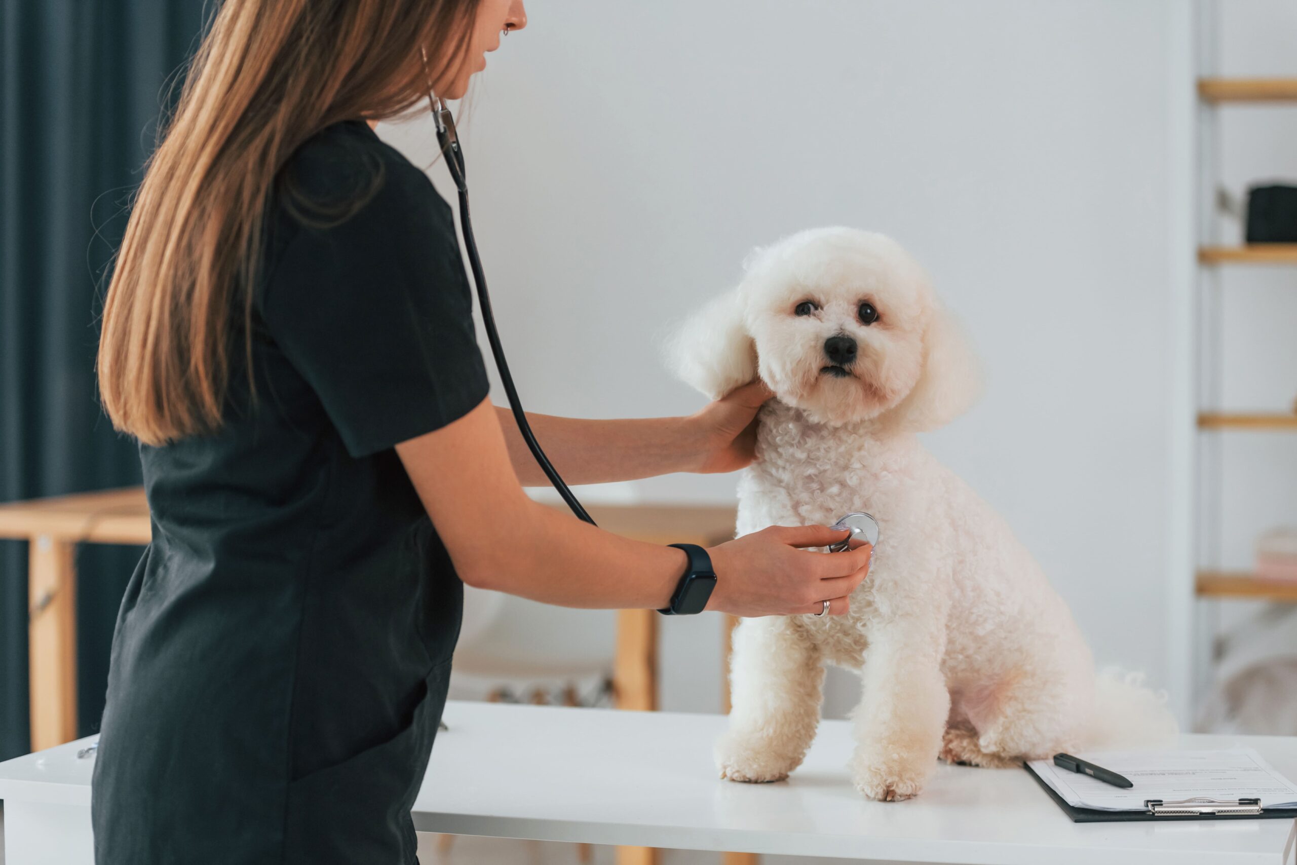 Veterinary-Check-ups