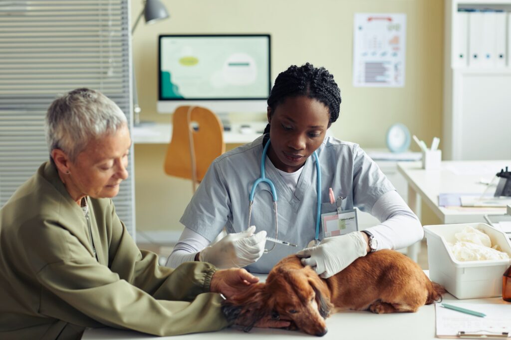 veterinarian vaccinating dog