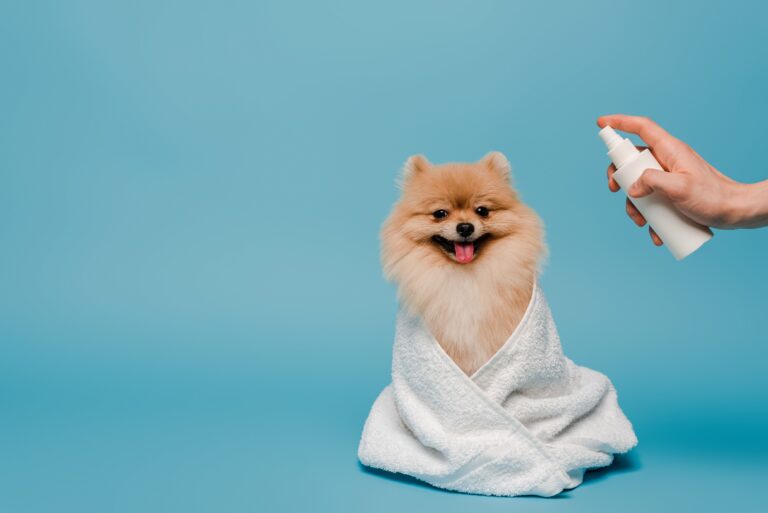 5 Best Dog Deodorizing Spray: Keeping Your Furry Friend Fresh and Fragrant