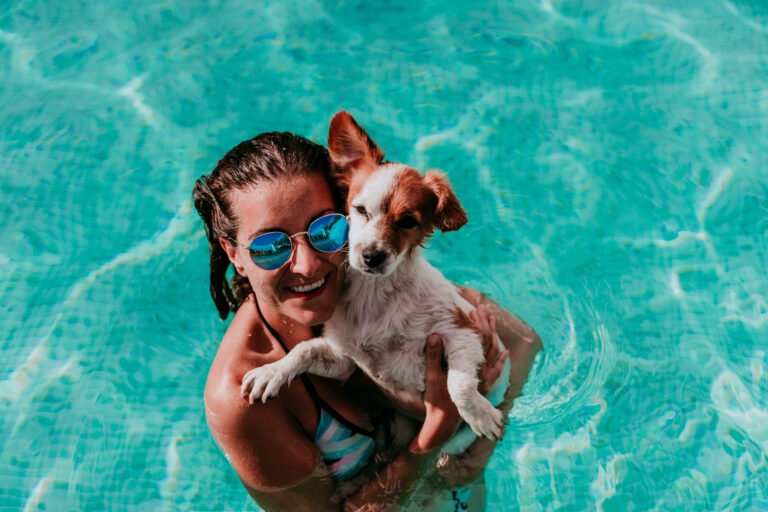 Fun Activites to Do with your Dog this Summer