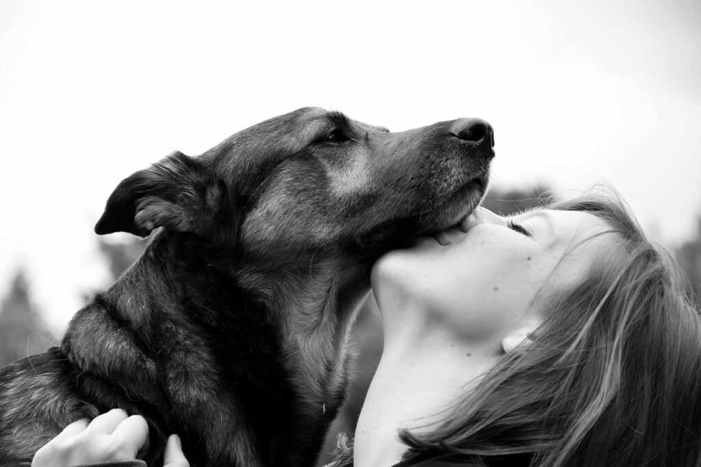 dog Companionship