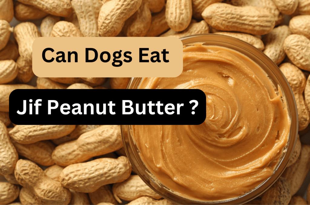 Can Dogs Safely Eat Jif Peanut Butter? | Unveiling the Truth