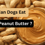 Can Dog Eat Jif Peanut Butter