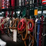 How to Choose the Right Dog Leash