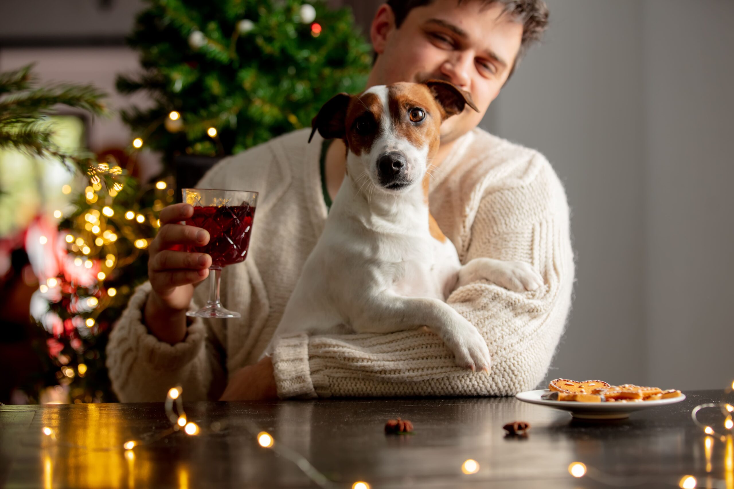 Can Dogs Drink Beer?